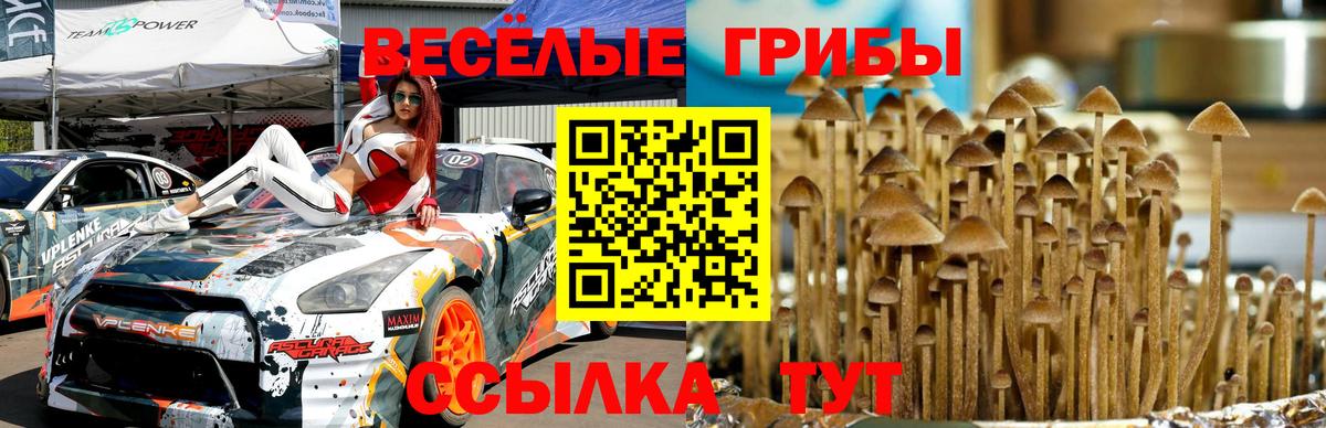 Анапа  Псилоцибиновые грибы прущие грибы  Вход с VPN 